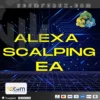 Alexa Scalping EA MT4
