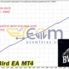Black Bird EA MT4 Backtest