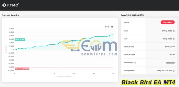 Black Bird EA Signal FTMO