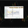 Reactor Scalper EA MT4 Inputs