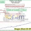 Ruegen Black EA MT4 Backtest