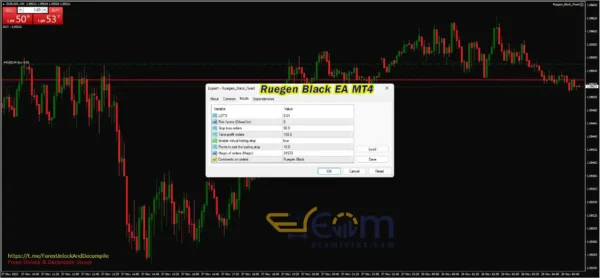 Ruegen Black EA MT4 Inputs
