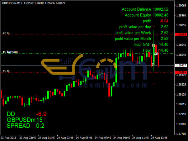 The King Hedging Forex MT4 Review