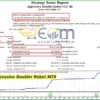 Aggressive Doubler Robot MT4 Backtest