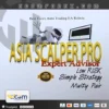 Asia Scalper Pro EA Logo