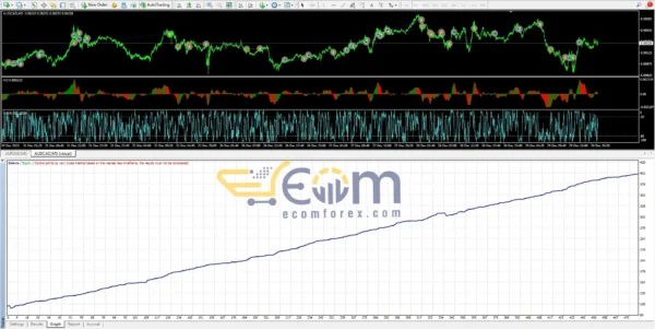 FX P2R VIP Edition EA Backtest