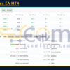Forex Flex EA MT4 Reviews