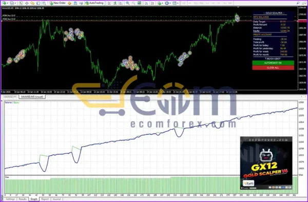 GX12 Gold Scalper MT4 Backtests