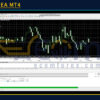 Hex Pro EA MT4 Reviews