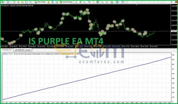 IS Purple EA v1.1 MT4 Review