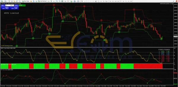 Renko Live Charts EA Review