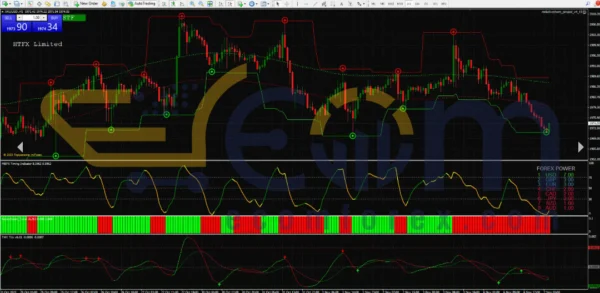 Renko Live Charts Review