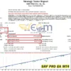 SRF PRO EA Backtest