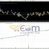 SRF PRO EA MT4 Backtest