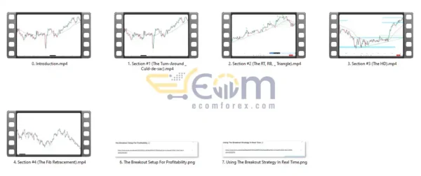 The Holy Grail Forex Strategy Course Review