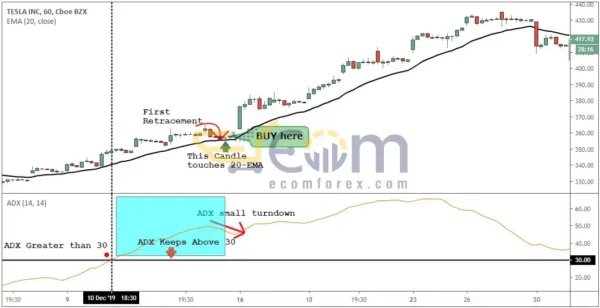 The Holy Grail Forex Strategy Course Reviews 2