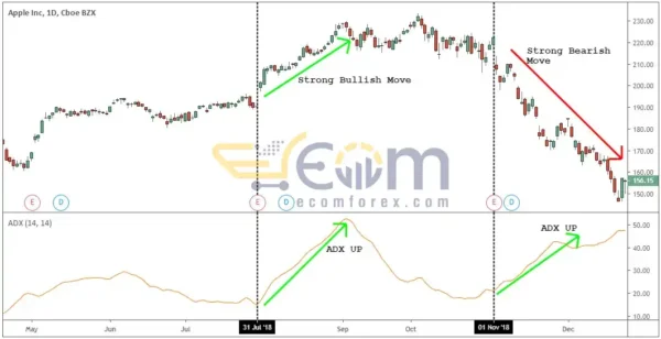 The Holy Grail Forex Strategy Course Reviews 3