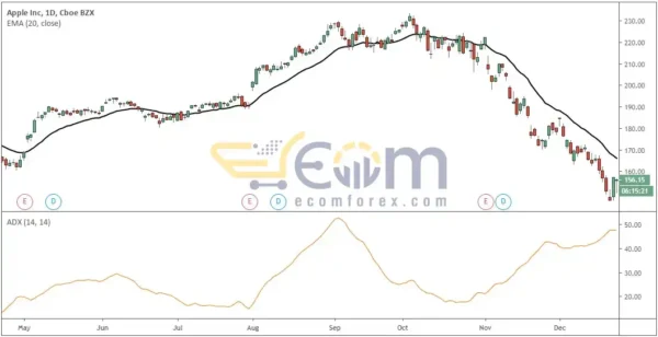 The Holy Grail Forex Strategy Course Reviews 4