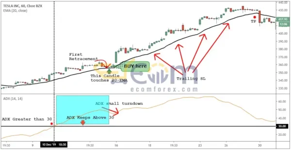 The Holy Grail Forex Strategy Course Reviews