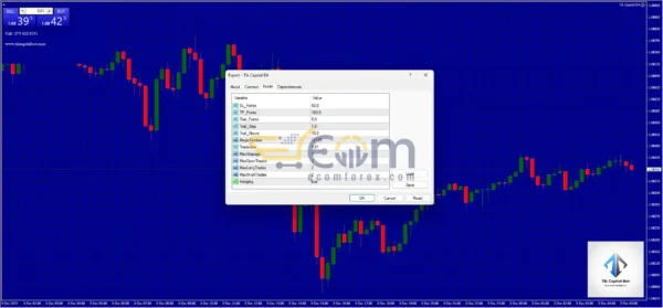 Tik Capital Bot MT4 Reviews