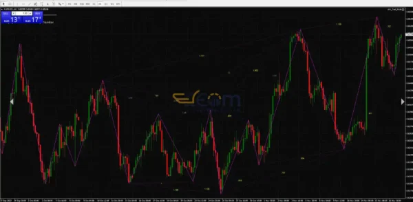 WA Trail Multi EA Reviews