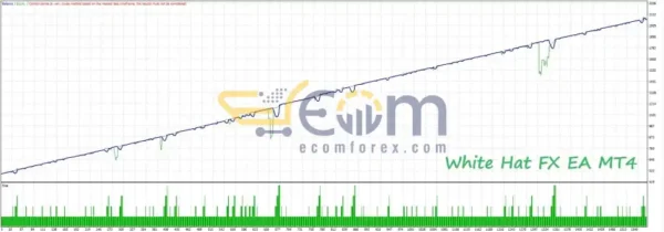 White Hat FX EA MT4 Backtest