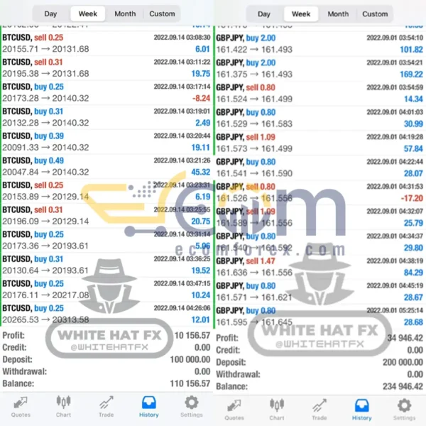 White Hat FX EA MT4 Live Trading