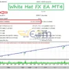 White Hat FX EA MT4 Result