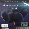 YoForex Pro EA MT4 Logo