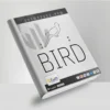 Bird MT4 