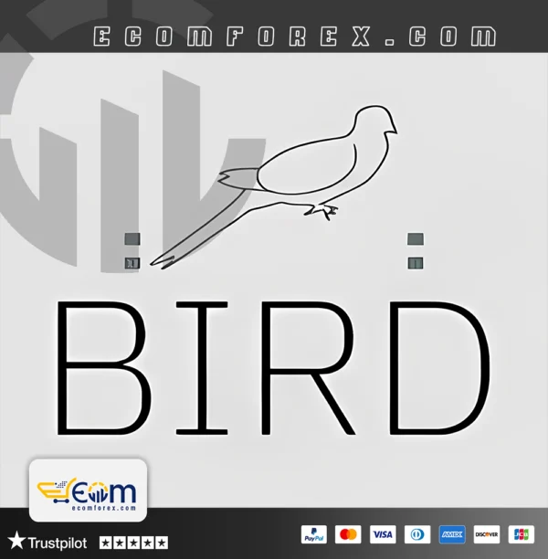 Bird MT4 Logo