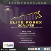 Expert EliteFX EA MT4 Logo