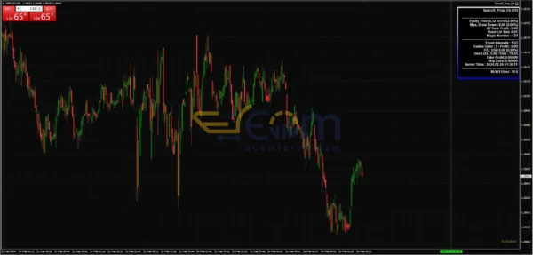 SpaceX Prop EA MT4 Reviews