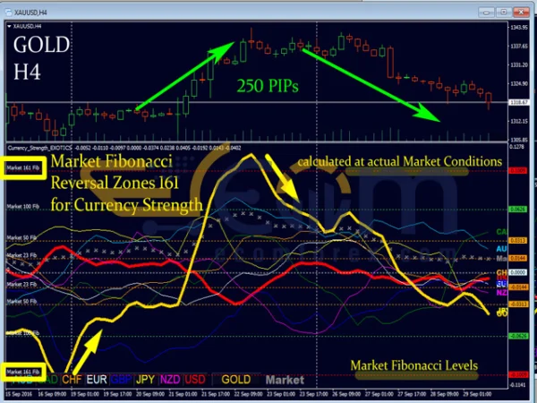 Currency Strength Exotics MT4 Reviews