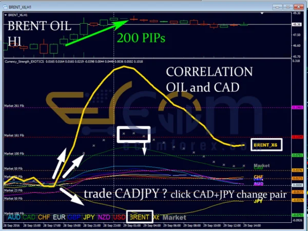 Currency Strength Exotics Reviews