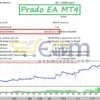 Prado EA MT4 Backtest