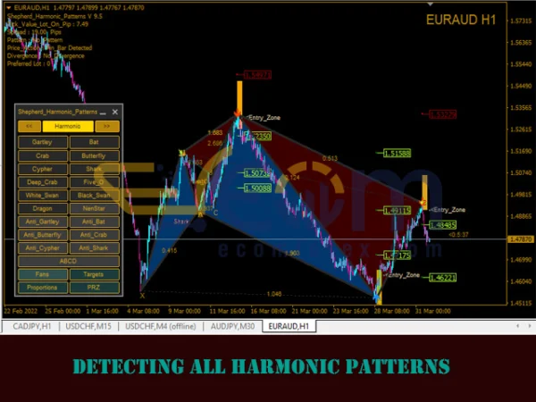 Shepherd Harmonic Pattern Review
