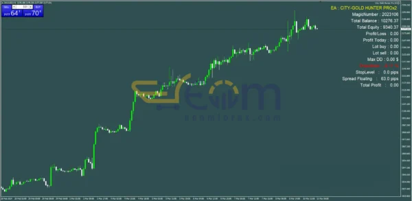 City Gold Hunter Pro X2 MT4 Review