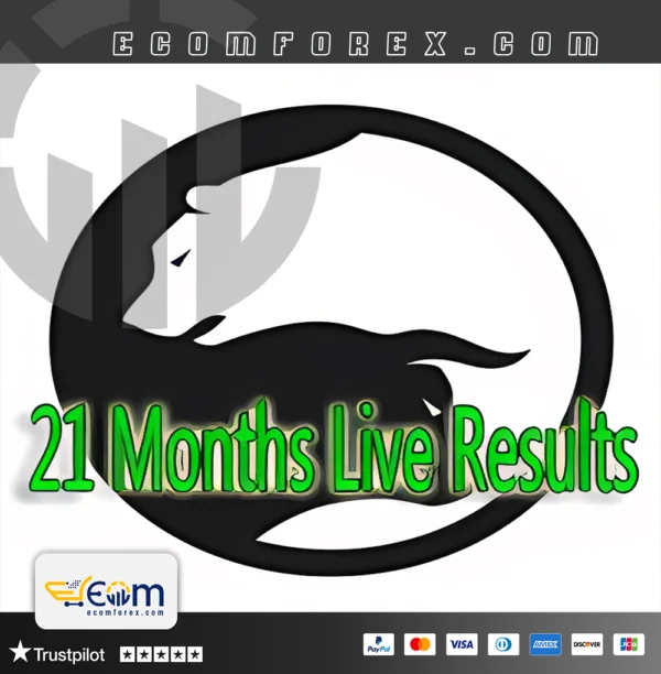 Daytrade Pro Algo EA MT4 Logo