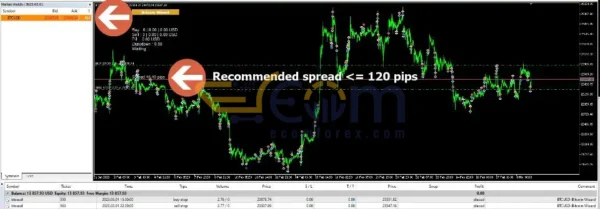 Bitcoin Wizard EA MT4 Review