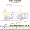 Blue Pip Gainner EA MT4 Backtest