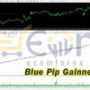 Blue Pip Gainner EA MT4 Backtests