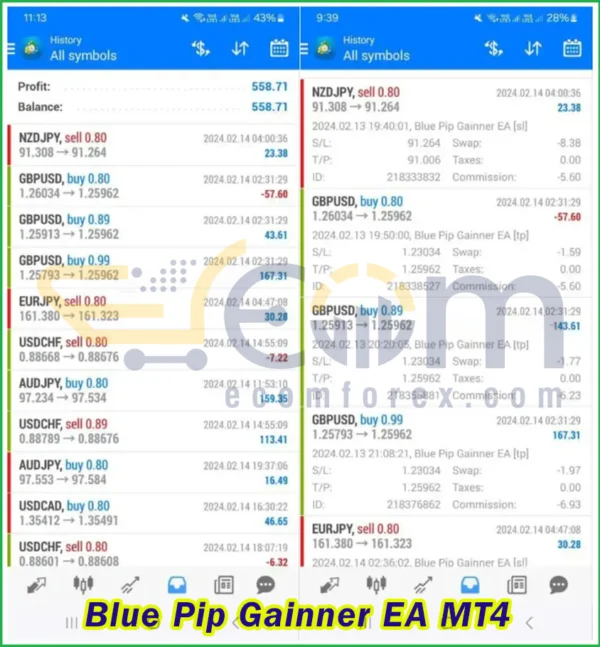Blue Pip Gainner EA MT4 Live Result