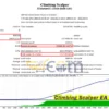 Climbing Scalper EA Backtests
