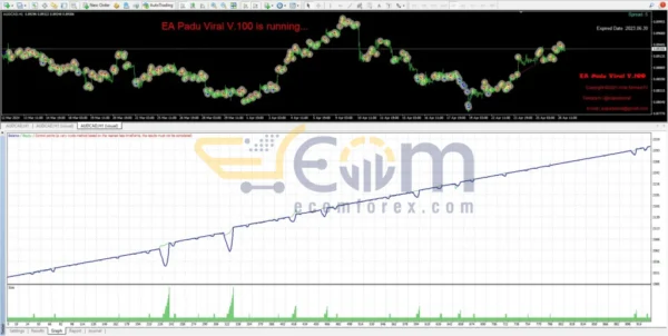 Padu Viral EA MT4 Review