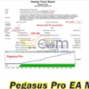 Pegasus Pro MT4 Backtest