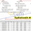 TopBottomEA Backtest