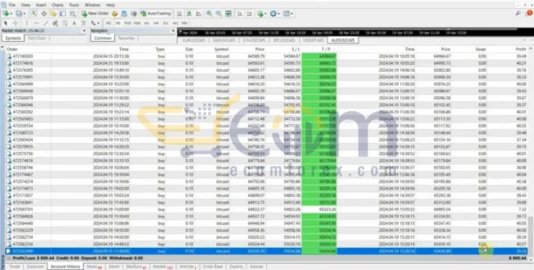 Trade Scalper Supernova EA MT4 Live Signal
