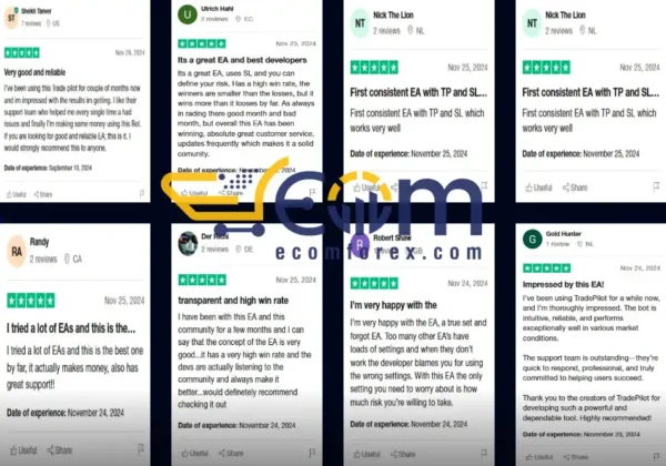 TradePilot MT4 Trader Review