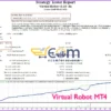 Virtual Robot Result Backtest